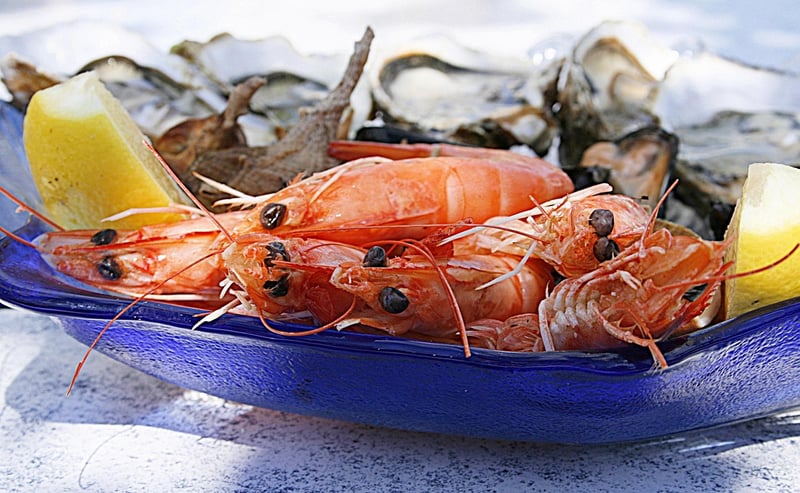 Oysters - a source of zinc